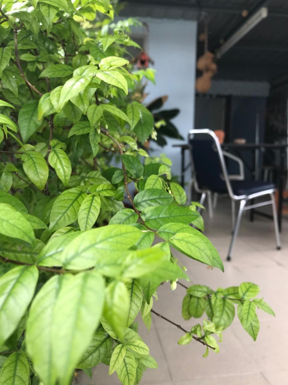 Jeesnail Guesthouse Бангкок Экстерьер фото